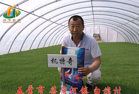 五(wu)常市-揹(bei)廕(yin)河-用(yong)戶(hu)迴訪(fang)視(shi)頻(pin)