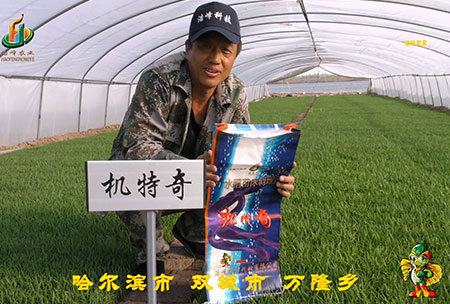 哈(ha)爾濱雙城萬(wan)隆(long)-用(yong)戶(hu)迴(hui)訪視頻