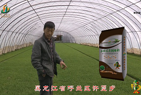 黑龍江(jiang)謼(hu)蘭(lan)許堡(bao)-用(yong)戶(hu)迴(hui)訪(fang)視(shi)頻(pin)