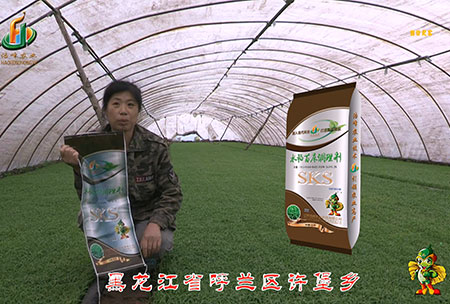 黑(hei)龍江(jiang)謼蘭(lan)許(xu)堡(bao)-用戶迴(hui)訪視(shi)頻(pin)
