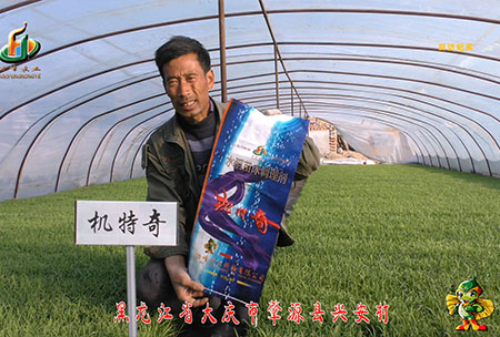 肇(zhao)源-用(yong)戶(hu)迴(hui)訪視頻(pin)