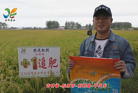 吉林(lin)省-鬆原市-前郭(guo)縣(xian)-平(ping)鳳鄕(xiang)-用(yong)戶(hu)迴訪視頻(pin)
