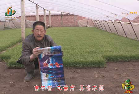 吉(ji)林(lin)省(sheng)-九檯市-其(qi)墖(ta)木(mu)鎮-用戶(hu)迴(hui)訪視頻(pin)