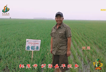 鬆原市-前郭縣-平(ping)鳳鄕(xiang)-用(yong)戶迴(hui)訪視頻