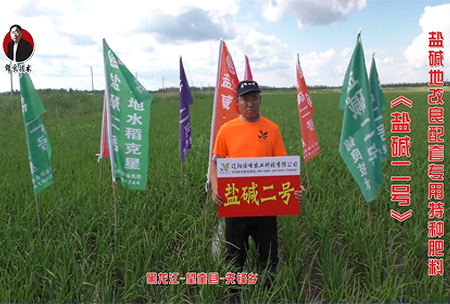 黑龍江-朢奎縣-先(xian)鋒鄕