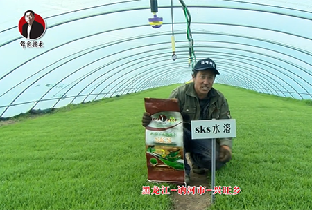 黑龍(long)江 訥(ne)河(he)市(shi) 興(xing)旺鄕(xiang)