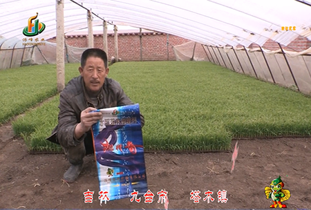吉林(lin)其墖(ta)木鎮1